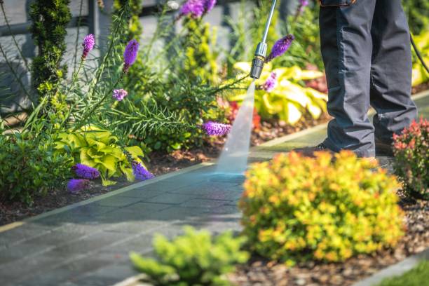 Best Gutter Cleaning  in Winter Springs, FL