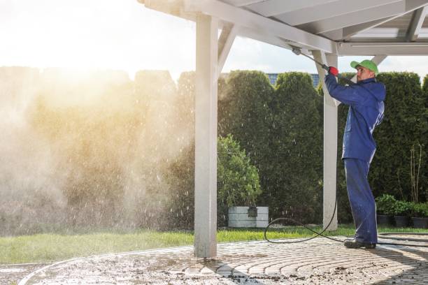 Animal Enclosure Cleaning in Winter Springs, FL